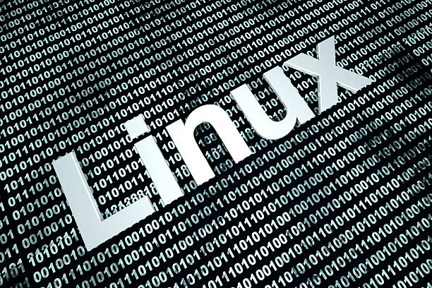 Linux Certa para suas Necessidades